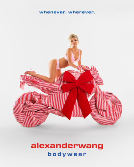 Lauren  Nikrooz - Alexander Wang - Underwear
